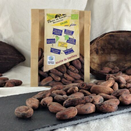 Fèves de cacao crues