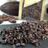 Les éclats de fèves de cacao