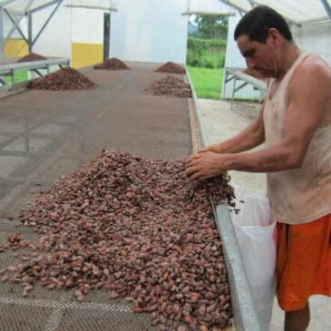 La coopérative Fortaleza del Valle